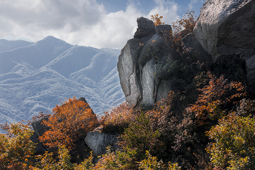 产品展示标题八